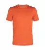 Icebreaker 125 Cool-Lite Merino Blend Sphere III SS Tee M's Summer 2025